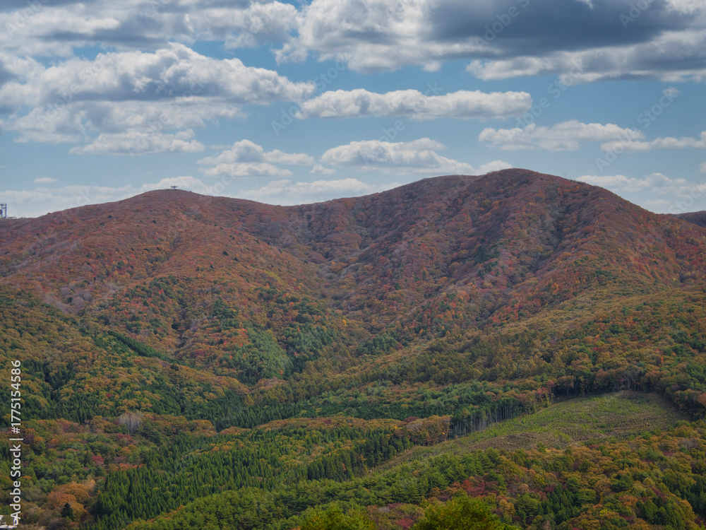 Obraz premium 仙台平から観た紅葉