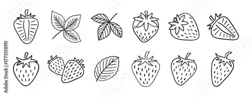 strawberry berries and leaves doodle hand drawn icon set. Outline drawing line clipart symbol collection.
