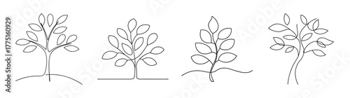 Detailed line art collection of diverse eucalyptus tree styles rendering natural textures and shapes