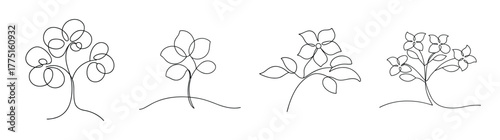 Collection of dogwood tree silhouettes botanical line art styles four unique tree designs