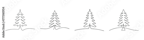 Detailed pencil sketch drawings of four distinct douglas fir trees showing natural growth patterns