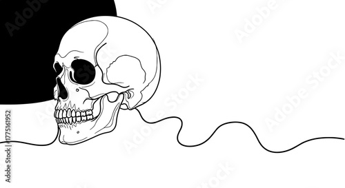 Monochrome Skull Contemplation Against Red Sun: Artistic Mortality Concept in Graphic Design Style, Representing Reflection on Life's Impermanence, for Healthcare, Education, and Creative Projects, De