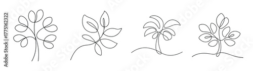 Set of four hand-drawn outline stylized fig tree branches with leaves and fruit illustrations