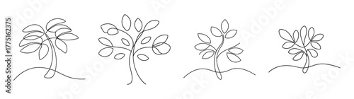 Four distinct outline drawings of lush fig trees showcasing leafy branches and organic forms