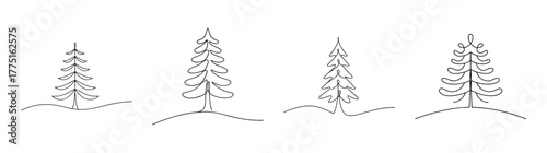 Four detailed line art drawings of larch trees showcasing their unique branch structures and foliage in a delicate style