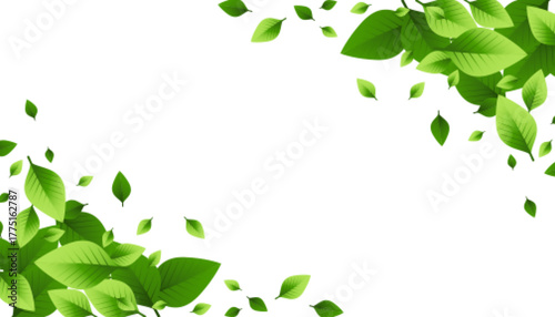 green leaves scattered background design