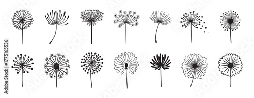 Dandelion flower silhouette doodle hand drawn icon set. Outline drawing Dandelion flower silhouette line clipart symbol collection
