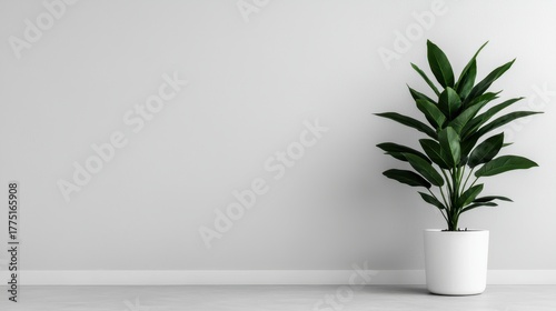 Large potted green houseplant stands against a plain light gray wall backdrop with copy space