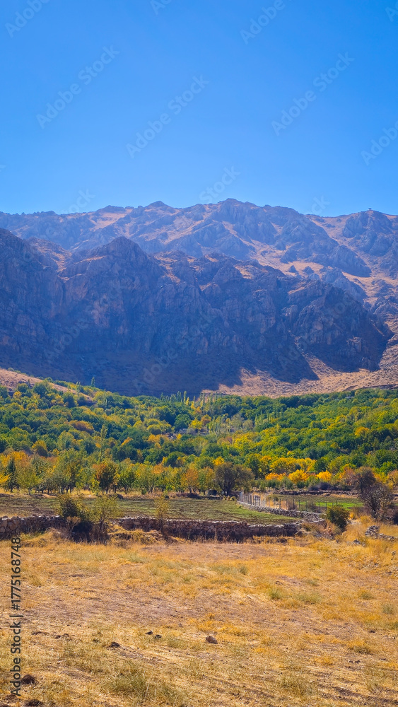 Naklejka premium Autumn mountain valley with dry soil, golden foliage, and rugged peaks under clear blue sky — a vivid seasonal contrast. 📍Hazarani, Hawraman