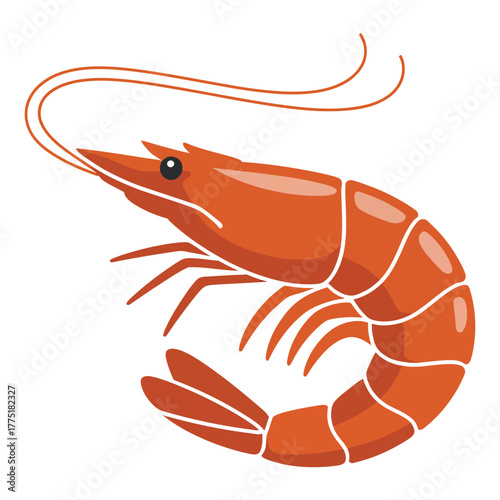 shrimp on a white background