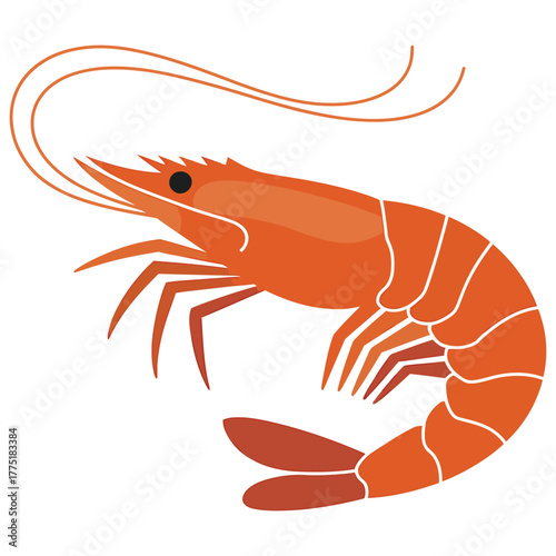 shrimp on a white background