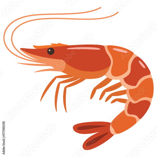 shrimp on a white background