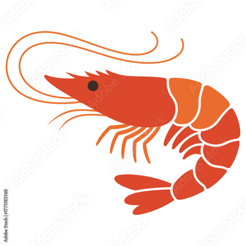 shrimp on a white background