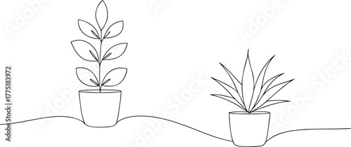 Two potted plants in simple line art houseplant green