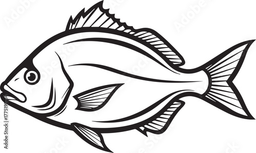 Line Art Illustration of a Fish on White Background