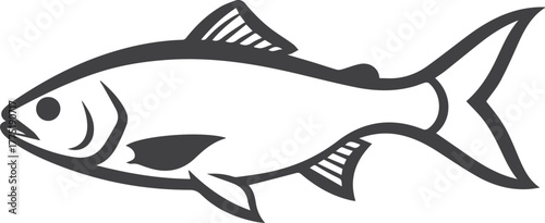 Outline of a Fish in Dark Gray on White Background