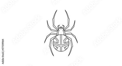 Stylized arachnid illustration features geometric pattern accenting a striking design