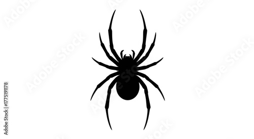 Monochrome depiction of a stylized spider against a clean backdrop enhancing its graphic impact