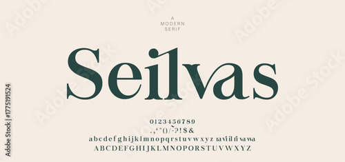 Elegant wedding alphabet letters font and number. Typography luxury classic lettering serif fonts decorative vintage retro concept. vector illustration