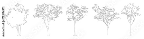 Architectural CAD Tree Linework, Side View Trees for Landscape Design