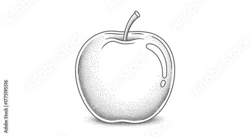 Detailed stippled apple illustration, botanical etching with rustic texture and simplicity