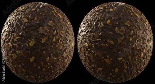 Two spheres covered in dark mud and scattered golden leaves against a black backdrop