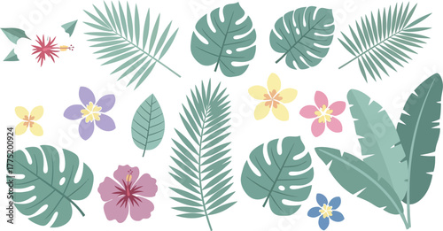 Tropical flowers and leaves arranged on a white background in a flat vector style