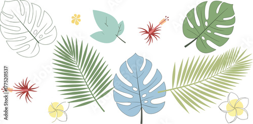 Tropical floral arrangement with hibiscus flowers and monstera leaves on white