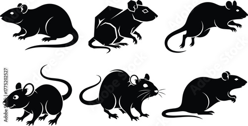 Flat vector mouse and rat silhouettes, rodent animal illustration, domestic and wildlife design template collection