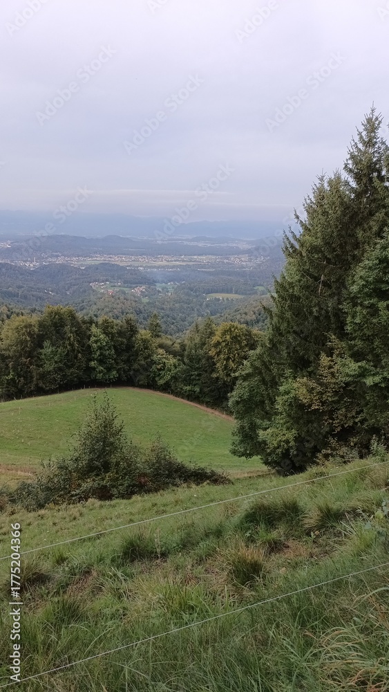 Fototapeta premium Landscape with hills and valley and meadows.