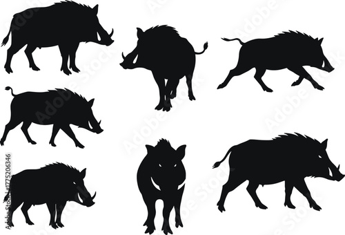 Flat vector wild boar silhouettes in different poses, wildlife animal illustration, hunting and nature artwork template