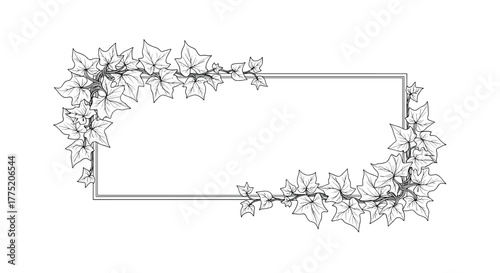 Rectangular frame decorated with a leafy vine, perfect for elegant invitations or natural themes.
