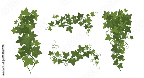 Collection of decorative green ivy vines with swirling stems on a white background.