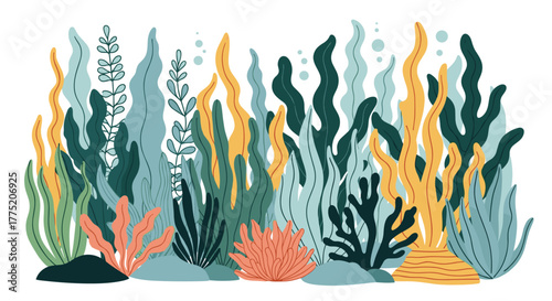 Colorful underwater illustration of various types of seaweed and coral reefs with bubbles.
