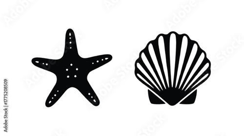 Black Silhouettes of a Starfish and a Scallop Shell