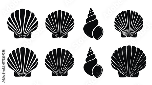 Scallop Shells and Spiral Shell Silhouettes on White Background Keywords: scallop, shell, spiral