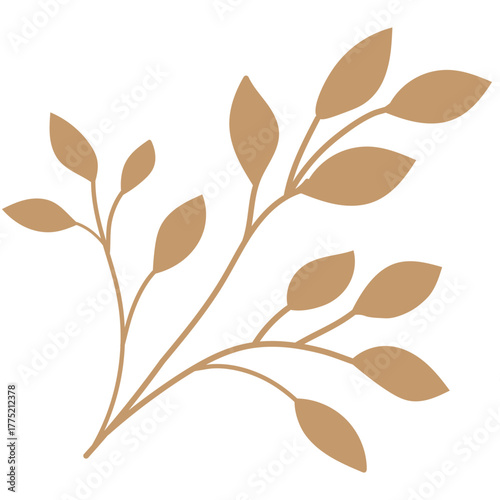 Brown leaf branch on white background plant nature