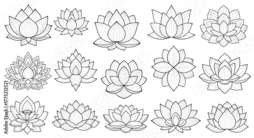 Collection of diverse hand-drawn lotus flowers with intricate line art patterns.