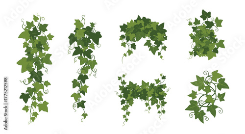 Collection of green ivy vine illustrations with varying shapes and styles on a white background.