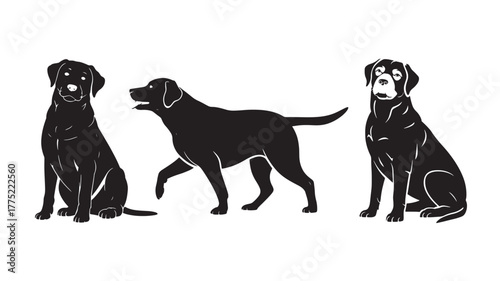 Set of labrador retriever dog silhouettes vector illustration of different poses isolated on white background
