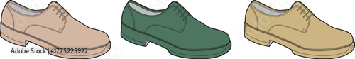 Stylish Footwear Collection Three Dress Shoes in Diverse Color Tones