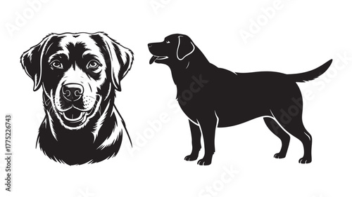 Labrador Retriever vector illustration featuring a dog head and full body silhouette perfect for logo design and pet-related graphics