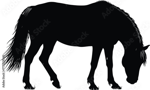 Horse silhouette, grazing horse, black horse shape, animal outline, equine posture, peaceful horse, vector horse, grazing animal, nature, calm