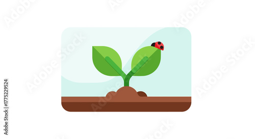 A small green sprout with two leaves and a ladybug on one leaf.