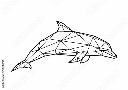 Geometric wireframe dolphin illustration for marine life design concept