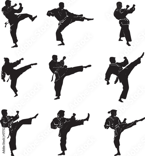 Karate Martial Arts Action Silhouettes fighter athlete