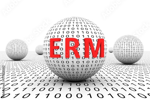 ERM conceptual sphere binary code 3d illustration