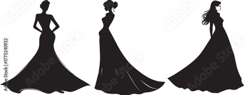 Silhouette of Woman in Long Elegant Dress Set vector