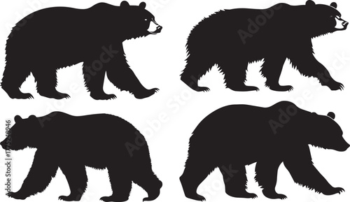 Wild Bear Walking Silhouette Design Set vector
