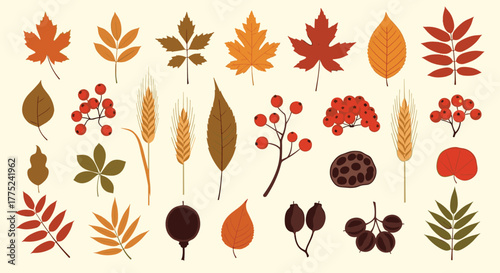 Autumnal vector illustration showcasing colorful leaves, berries, and wheat, ideal for seasonal designs and nature-themed projects.